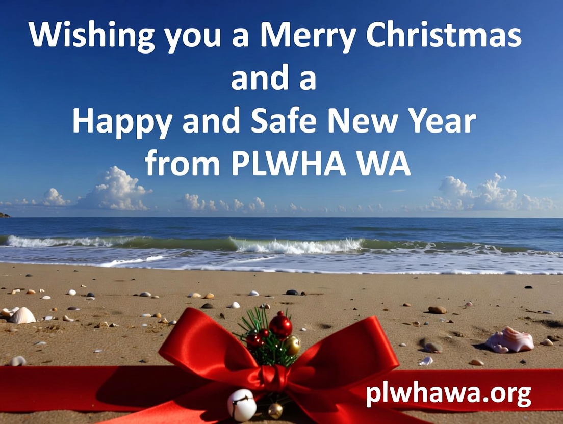Wishing you a safe and joyful Christmas from PLWHA WA